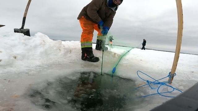 У детей каникулы, то все на рыбалку смотреть онлайн