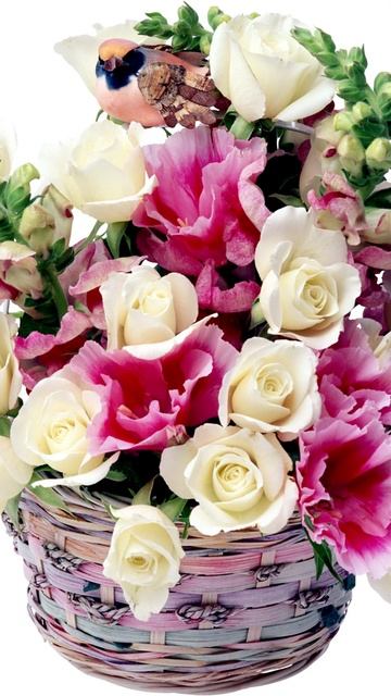 Доброе утро. смотреть онлайн