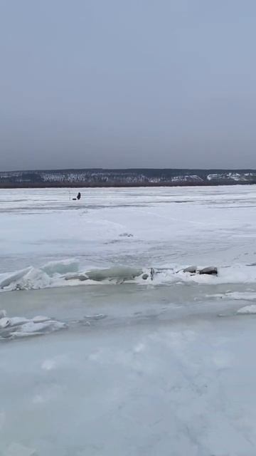 Говорю говорю мужику - а он всё сидит 😂😂😂#рыбалка #р?