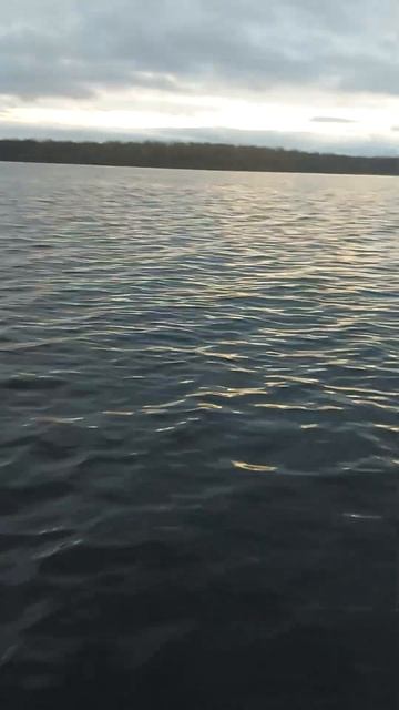 Не большой улов зубатка и треска !!! #рыбалка #fishing #рыба?