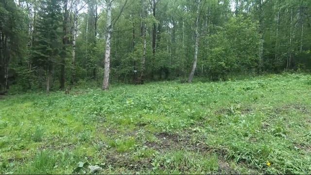 Волковское охотхозяйство. Охота на миллион. смотреть онлайн