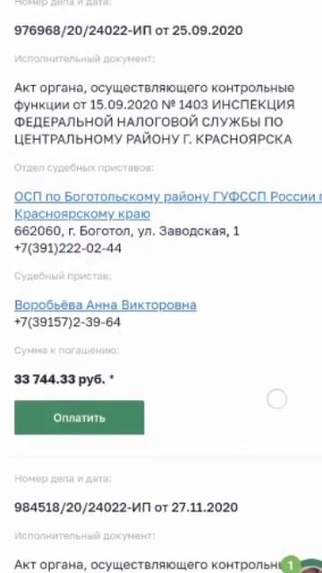 Счастливая семья из Сибири перовы. Анна Перова есть до смотреть онлайн