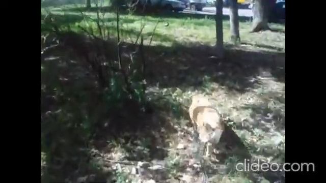 ВЛОГ. Прогулялись с Сюзечкой. Мама нажарила вкусной салаки. Приготовила классные чипсы!)