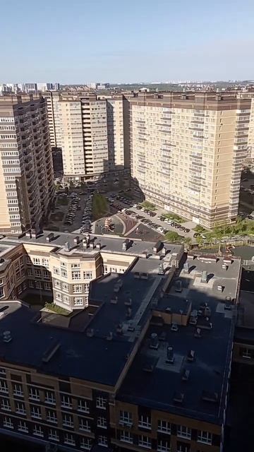 Солнце встало выше ели, уже пора, а мы не ели) смотреть онлайн