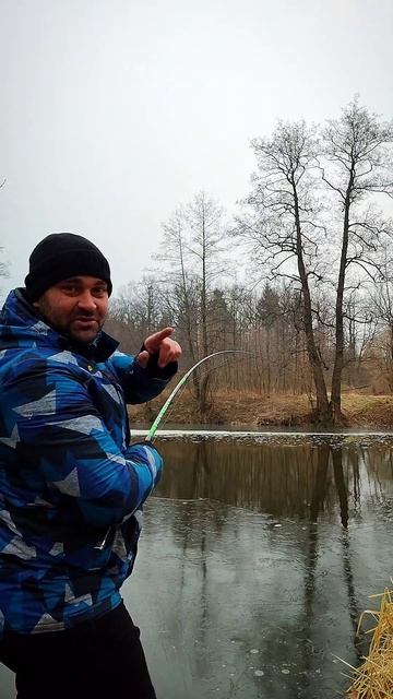 Щука на Живца #fishing #carplife #рыбалка #carpfishing смотреть онлайн