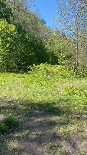 Красивое место на реке Друть #рыбалка #фидер #река смотреть онлайн