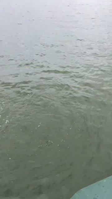 ЩУКА НА ДЖИГ ! #джиг #fishing #рыбалка #спиннинг #щука смотреть онлайн