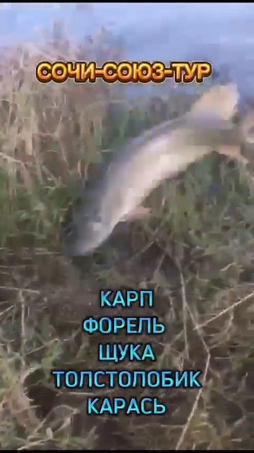 ОЗЕРНАЯ И МОРСКАЯ РЫБАЛКА НА МОРЕ (АБХАЗИЯ)🐋 смотреть онлайн