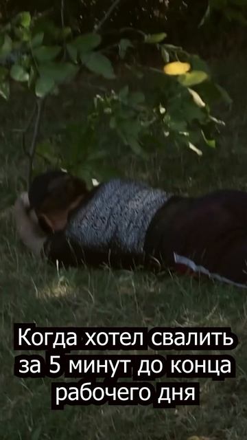 У всех так было #работа #прикол #мем #виталий #карпятник