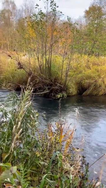 Марий-Эл. Источник «Зелёный ключ». #nature #отдых #достопр? смотреть онлайн