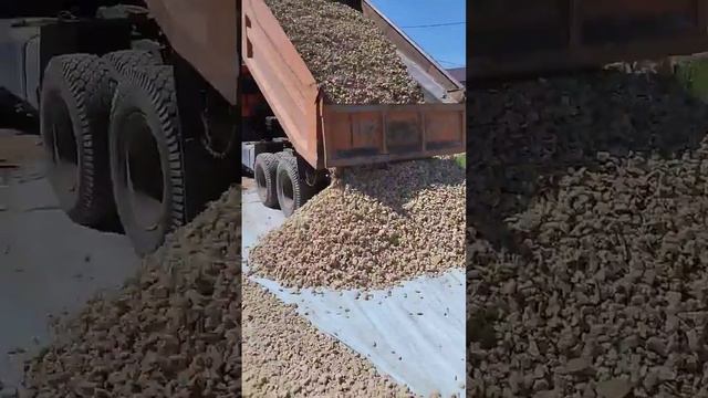 парковка из щебня, немного газона и чуть чуть-чуть илл? смотреть онлайн