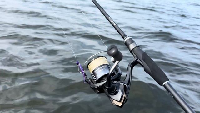 ХИЖАК ПОЧАВ НЕРЕСТ|ЗАКРИВ СЕЗОН РИБАЛКИ З ЧОВНА|Graphitelea