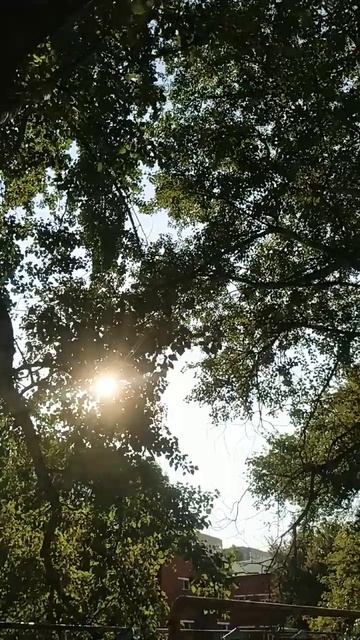 Человек меняется по двум причинам смотреть онлайн