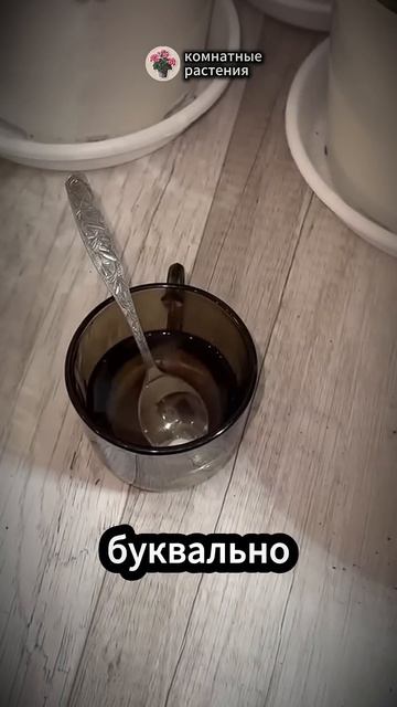 Просто подкормите герань этим способом и вы Ахнете #да смотреть онлайн