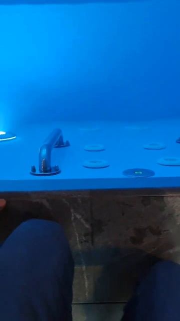 Гидромассажный бассейн с противотоком смотреть онлайн