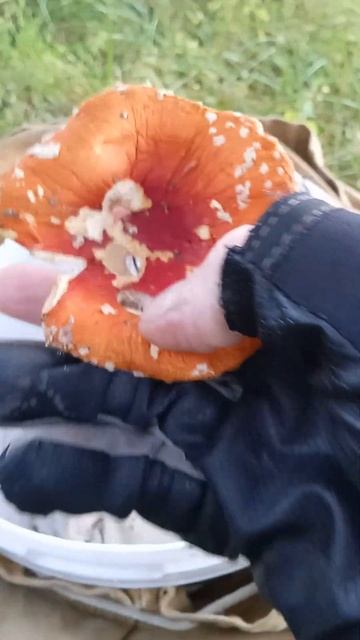 Закрытие сезона, 2024,было здорово😌🤜🤛🙏🙏🙏