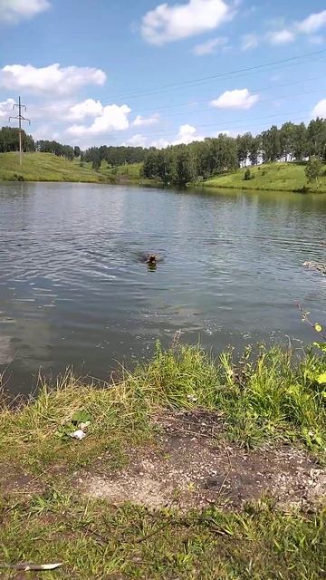 Красивые# места.# Кузбасс смотреть онлайн