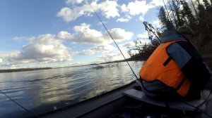 ОФИГЕТЬ! ВОТ ЭТО СУДАК КЛЮНУЛ В ЭТИХ КОРЯГАХ!Шторм и Трофейная рыбалка