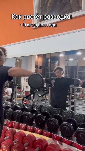 Жиза #gym #gymlife #спорт #зал #жим #рост #разводка смотреть онлайн