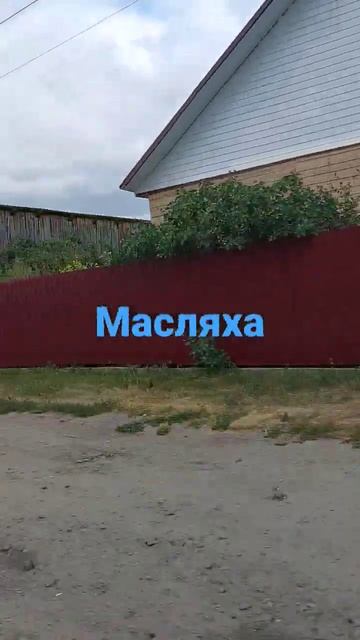 Вы где - нибудь видели такое?Проезжаем развеселое село смотреть онлайн