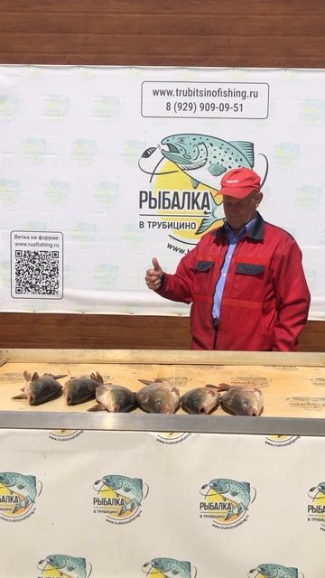 Рыбалка удалась! Платная рыбалка в Подмосковье. / Рыба? смотреть онлайн