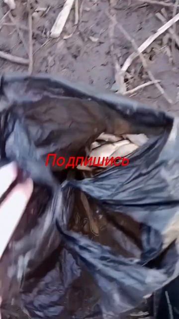 ловля на поплавочную удочку смотреть онлайн