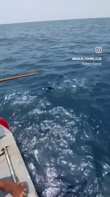 Морская рыбалка на Пхукете от русского собственника #f