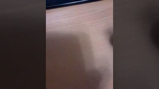 Перевод песни tatarka altn смотреть онлайн