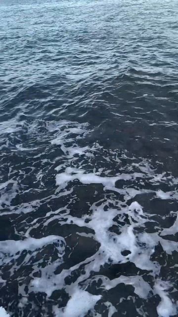 Ледяной берег #сахалин #мирживотных #зима #охота #рыбал смотреть онлайн