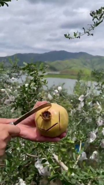 Тебе нравится этот гранат. ❤ смотреть онлайн