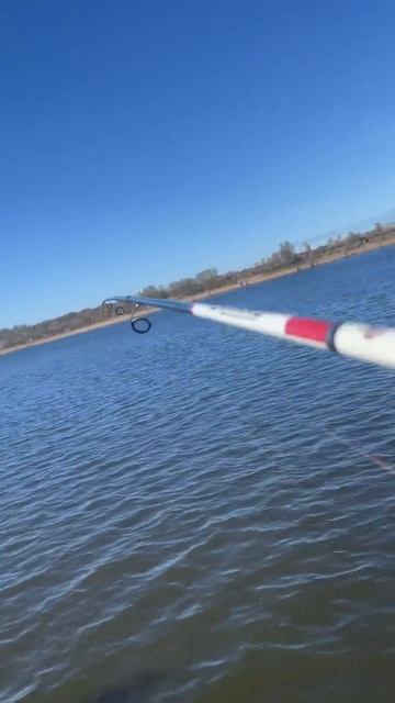 “Пошёл на рыбалку именно за селёдкой — и не зря! Улов ? смотреть онлайн