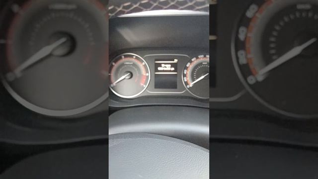 Lada VESTA NG сброс межсервисного ИНТЕРВАЛА сброс замены ма смотреть онлайн