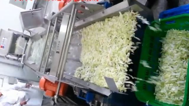 Промышленное оборудование для мойки и резки овощей Tita смотреть онлайн