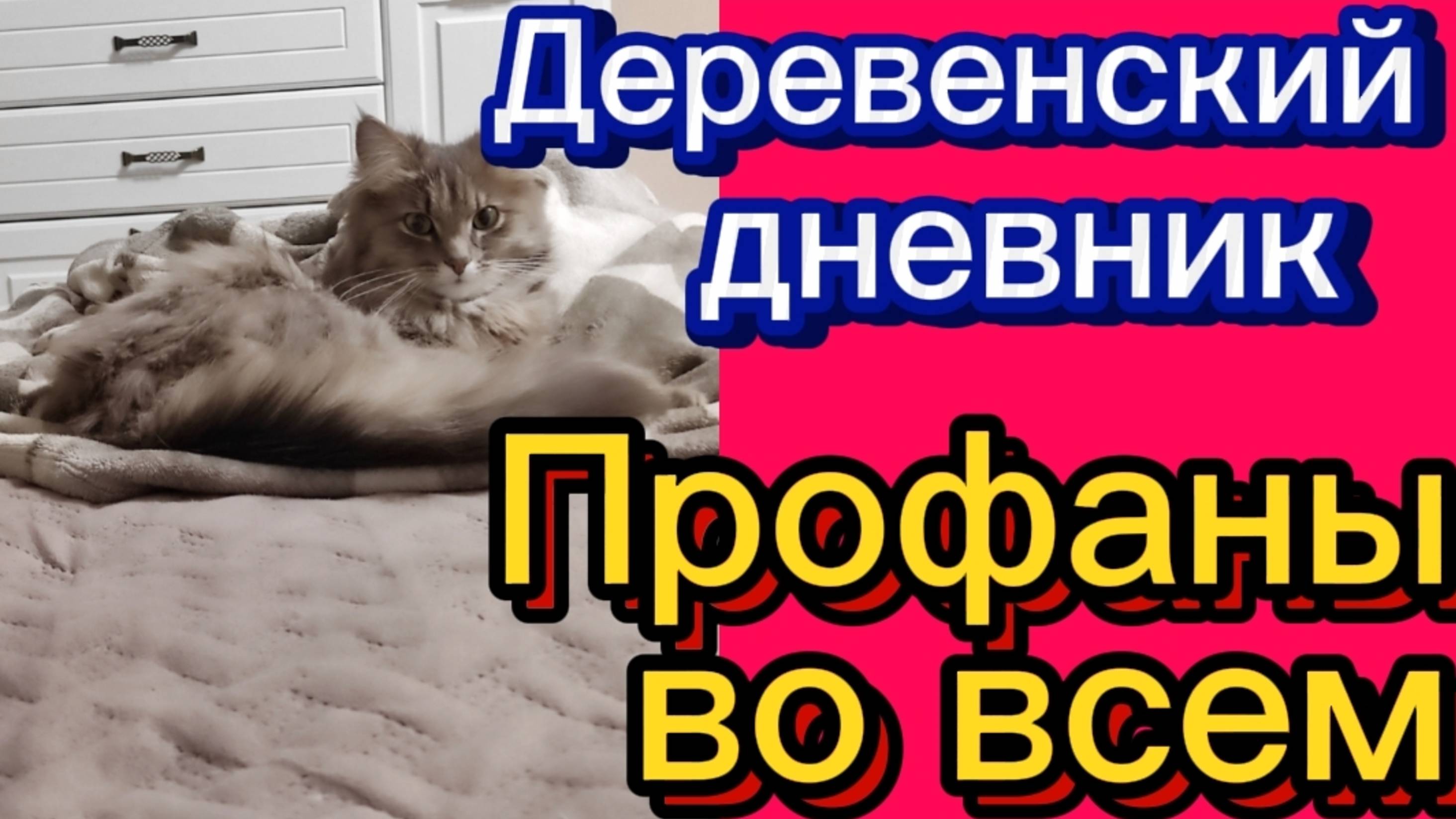 ДЕРЕВЕНСКИЙ ДНЕВНИК. "ПРОФАНЫ ВО ВСЕМ" смотреть онлайн