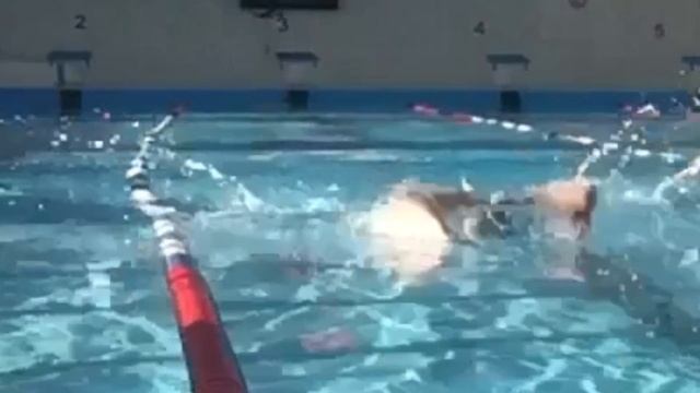 олимп бассейн плавание 🏊♂️swimming смотреть онлайн