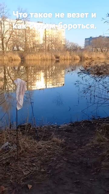 Не клюёт карась...  #fishing