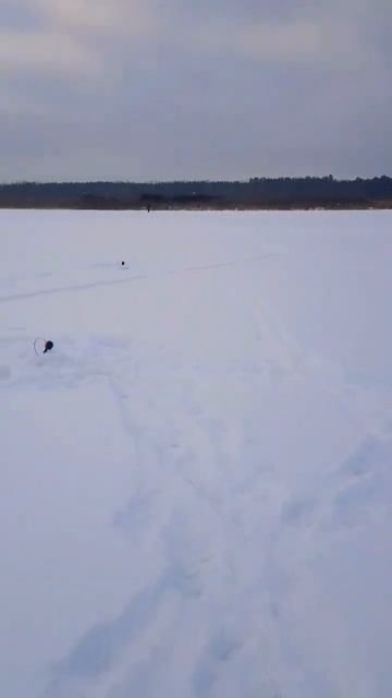 #рыбалка#жерлицы #зимняя #щука #зима #отдых #природа #life смотреть онлайн