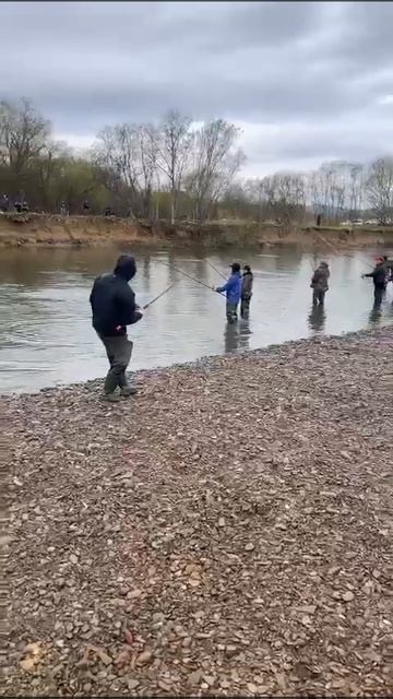 ✪ Сахалин ✪ 11.05.2024 ►Спасибо Антон ✌️ смотреть онлайн