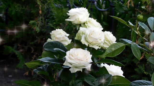 ПРОСЫПАЙСЯ,СОНЯ! С ДОБРЫМ УТРОМ !