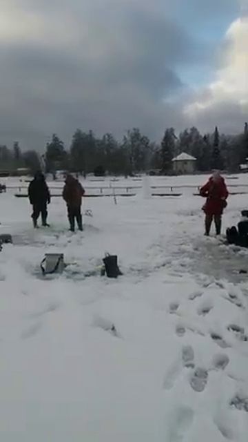 Свежие новости с Випа!