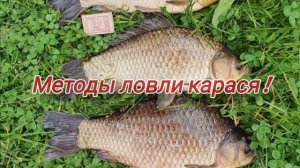 Как ловить карася весной? Где искать карася ранней вес