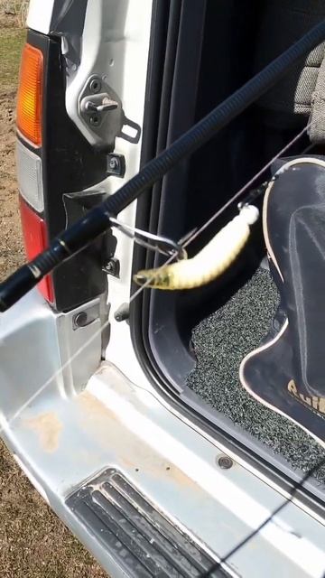 Комплект для ловли форели. #форель #рыбалка #кыргызста? смотреть онлайн