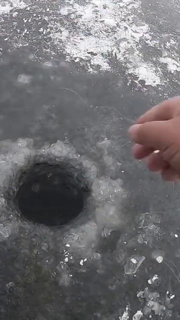 РЫБАЛКА НА БУТЫЛКУ! Вот это рыбина смотреть онлайн