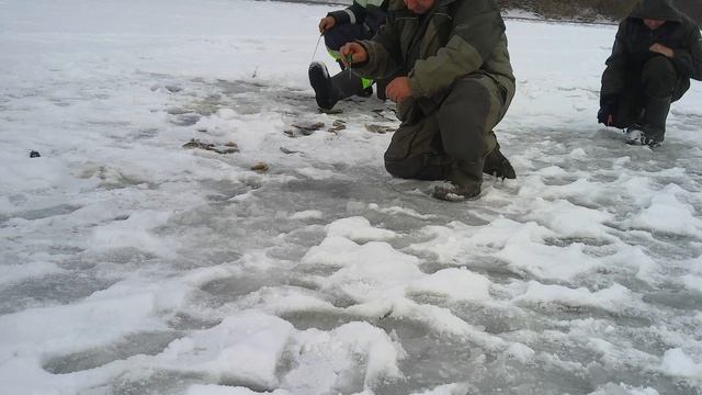 Ловля окуня на самодельную удочку с самодельной безмо