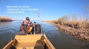 Бешеный клев сазана, рыбалка в Астрахани.#астрахань#ры