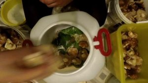 Соление грибов!! Холодный способ!! ( СОЛЕНИЕ РЯДОВКИ)