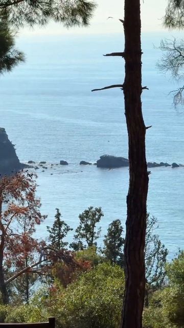 📍Принцевы острова, Стамбул #istanbul #türkiye #turkey #турция #мо смотреть онлайн