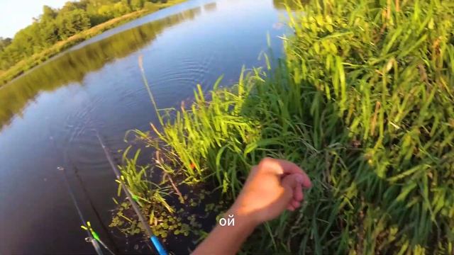 Ловим карасей на перловку. Место встречи озеро 🎣 #Рыб? смотреть онлайн
