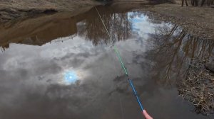 Мой Взгляд на ОЛТА КОЛИБРИ!!! Тест 0.5 -2.5 грамм.