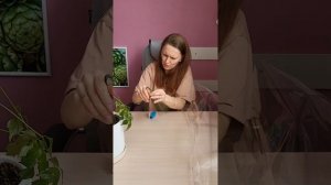 Спасаю растение радермахера #теплица #радермахера #фи?
